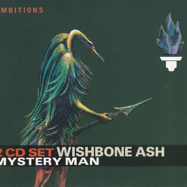 Mystery Man