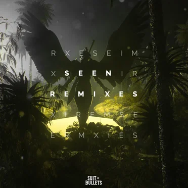 Seen (Remixes)