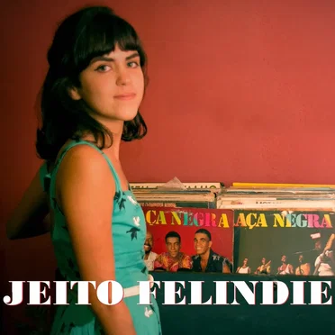 Jeito Felindie: Tributo ao Raça Negra by Various Artists - album cover