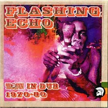Flashing Echo: Trojan in Dub 1970-80 by Various Artists - album cover