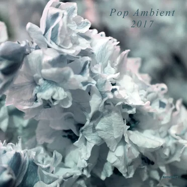 Pop Ambient 2017 by Various Artists - album cover