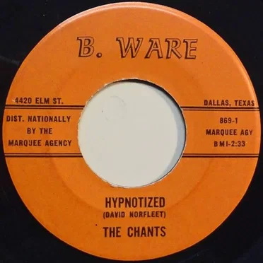 Hypnotized / Elaina by The Chants - album cover