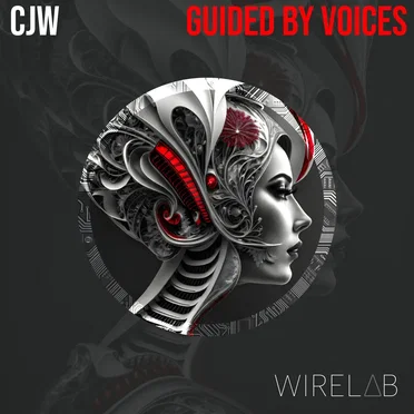 Guided by Voices by CJW - album cover