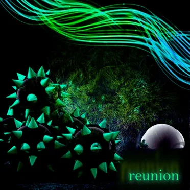 Reunion by allMeadow - album cover