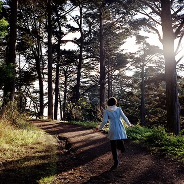 友の森 Forest of Friends