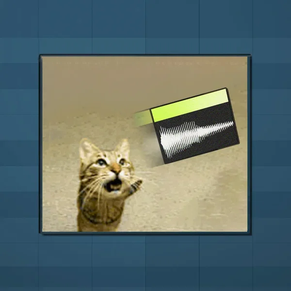 cat beat