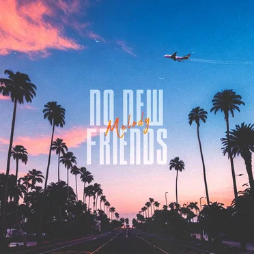 No New Friends by Melody - album cover
