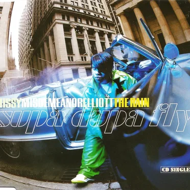 The Rain (Supa Dupa Fly)