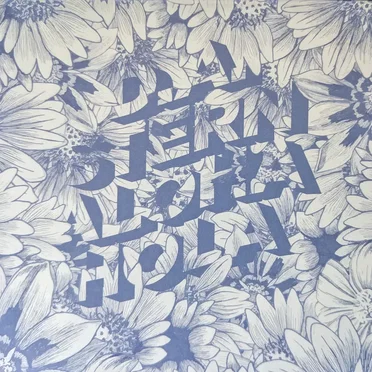 Aloha Hola