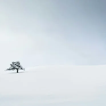 a Soft Place in Winter