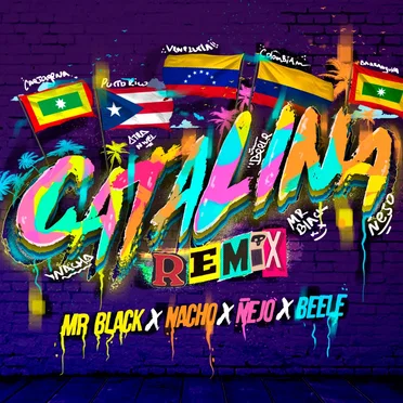 Catalina (remix)