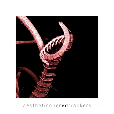 Red Trackers by Aesthetische - album cover