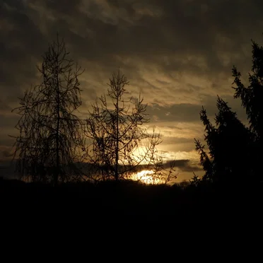 Nightfall