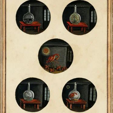Vase de Spagyrie
