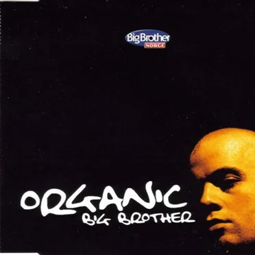 Big Brother by Organic - album cover