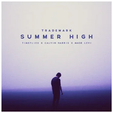 Summer High (Timeflies X Calvin Harris X Maor Levi)