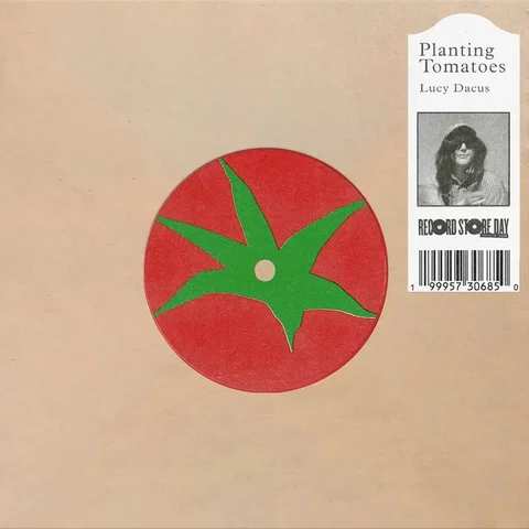Planting Tomatoes