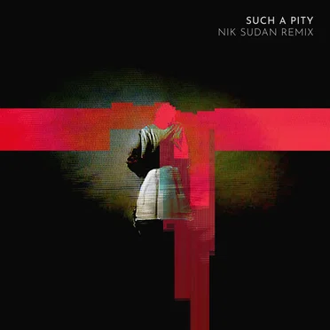 Such a Pity (Nik Sudan Remix)