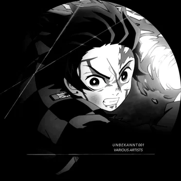Unbekannt 001 by Various Artists - album cover