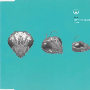 Can't Stop Raving (Remix)