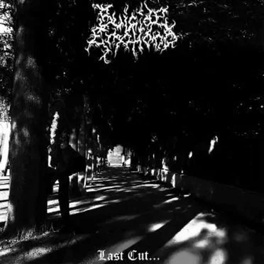 Last Cut... by Suicide Emotions - album cover