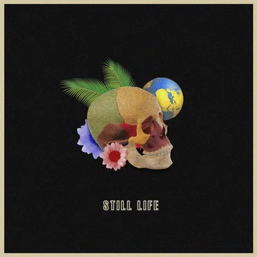 Still Life by Ambleside - album cover