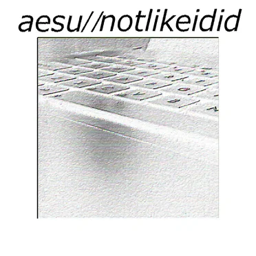 Not Like I Did by Aesu - album cover