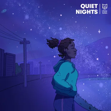 Quiet Nights by Various Artists - album cover