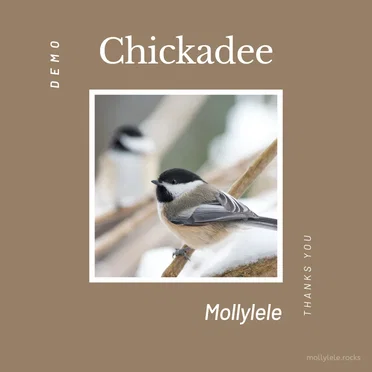 Chickadee (demo) by Molly Lewis - album cover