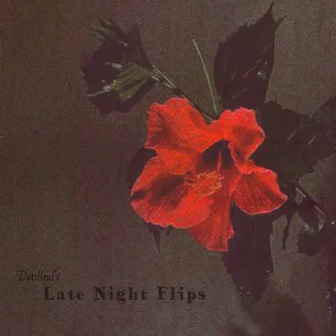 Late Night Flips by Dutilleul - album cover