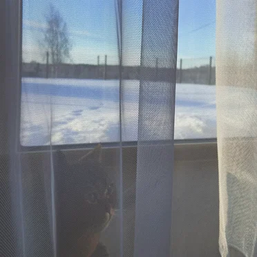 blue blanket