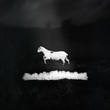 Prédateurs by Les Discrets - album cover