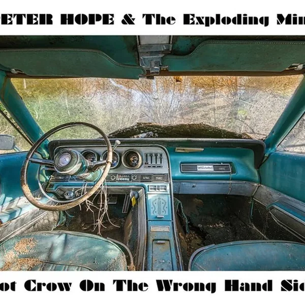 Hot Crow On The Wrong Hand Side