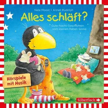Gute-Nacht-Geschichten vom kleinen Raben Socke by Nele Moost - album cover