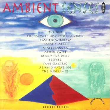 Ambient Senses: The Vision by Various Artists - album cover