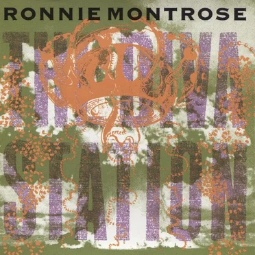 The Diva Station by Ronnie Montrose - album cover