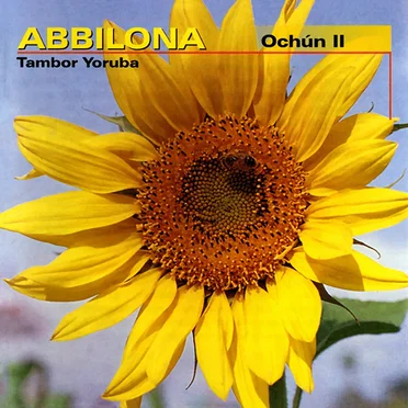Tambor Yoruba: Ochún II