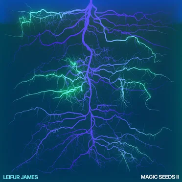 Magic Seeds II by Leifur James - album cover