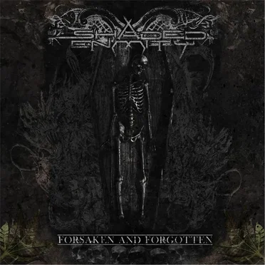 Forsaken and Forgotten by Shaded Enmity - album cover