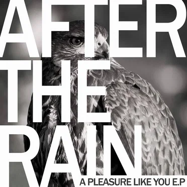 A Pleasure Like You E.P.