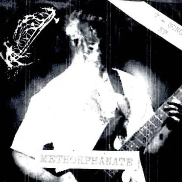 Methorphanate
