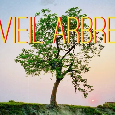 Vieil Arbre by Jason et Les Argonautes - album cover