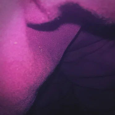 No Love for a Falling Sun by Panopticon Labyrinth - album cover