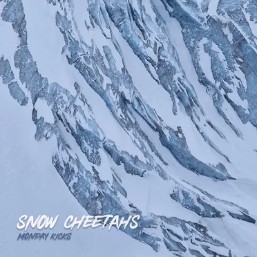 Snow Cheetahs by Monday Kicks - album cover