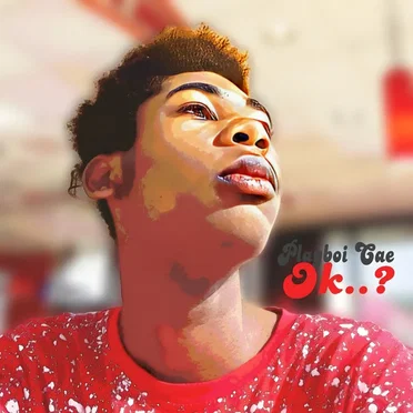 Okay..? by Playboi Cae - album cover