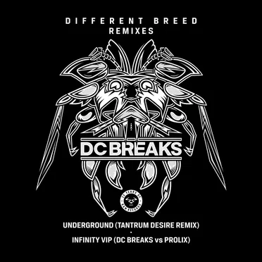 Infinity VIP / Underground (Tantrum Desire remix)