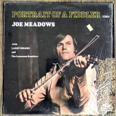 Portrait of a Fiddler