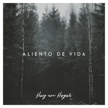 Aliento de vida by Hay Un Hogar MSC - album cover