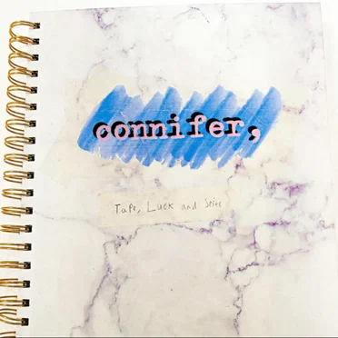 Tape, Luck, and Spite by Connifer - album cover