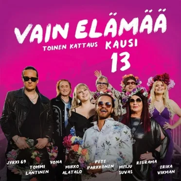 Vain elämää: Kausi 13, toinen kattaus by Various Artists - album cover